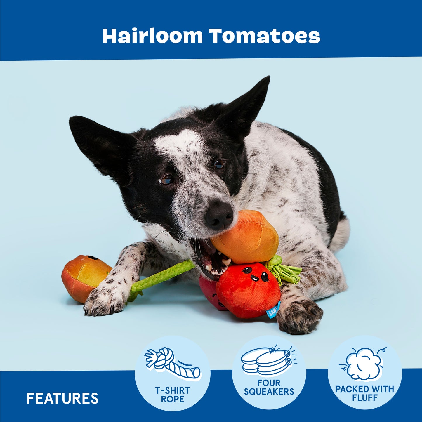 Hairloom Tomatoes