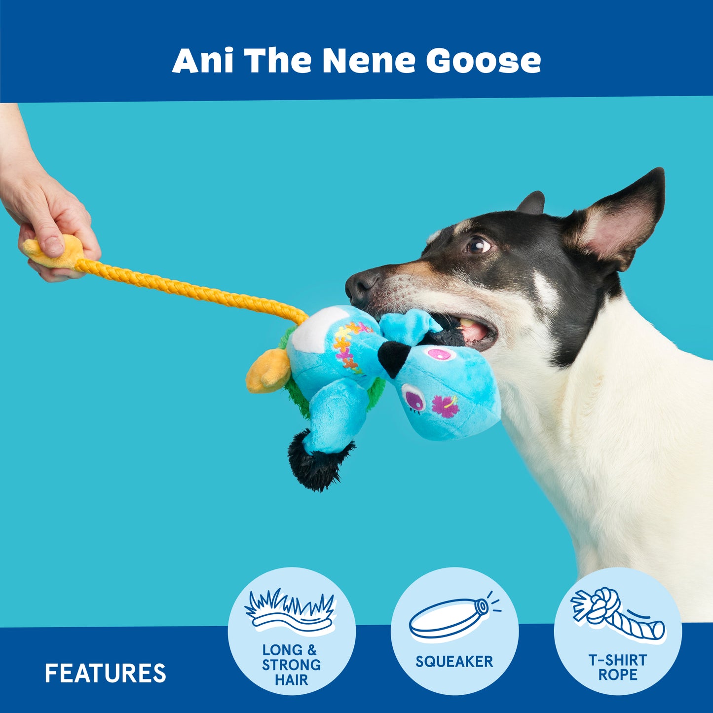 Ani The Nene Goose