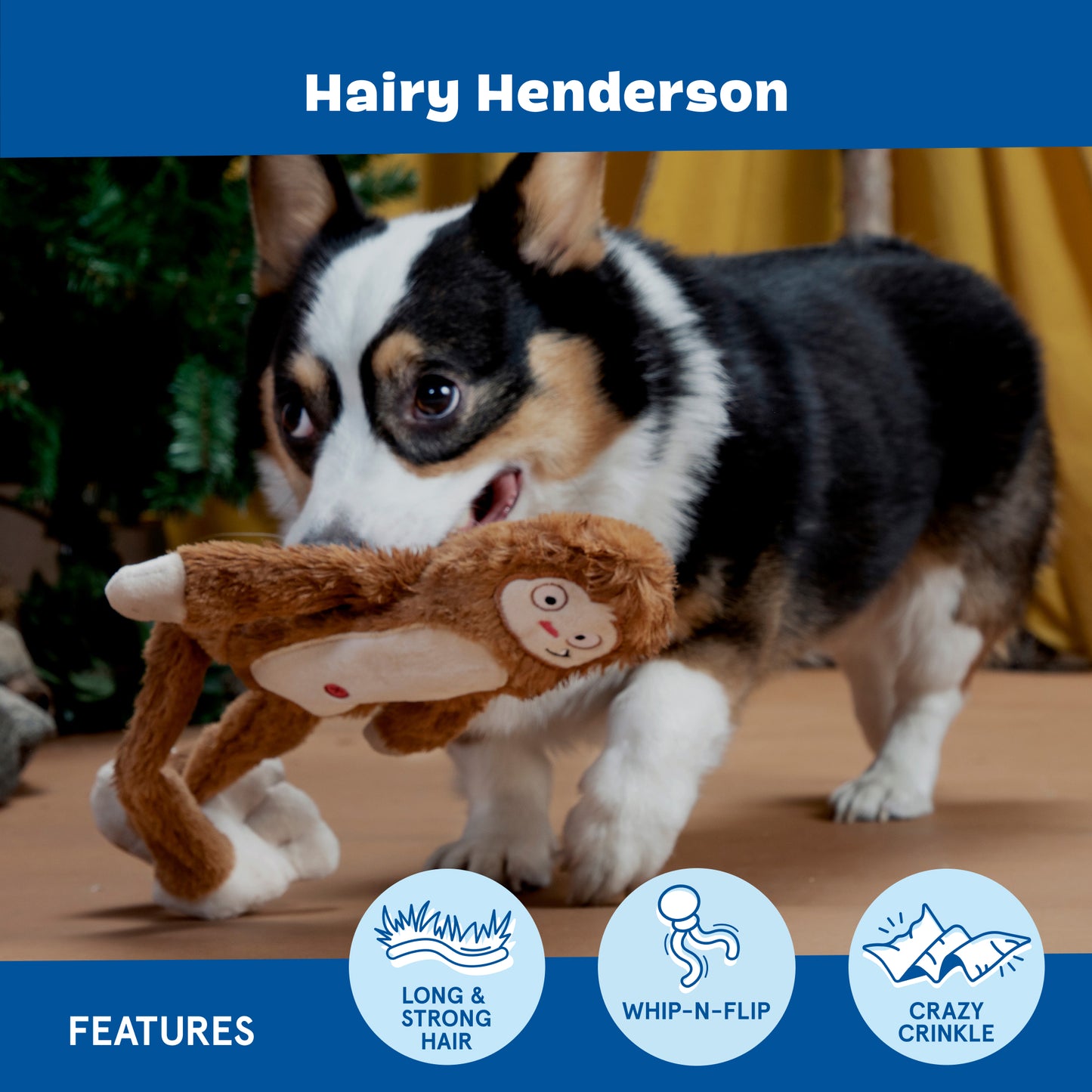 Hairy Henderson