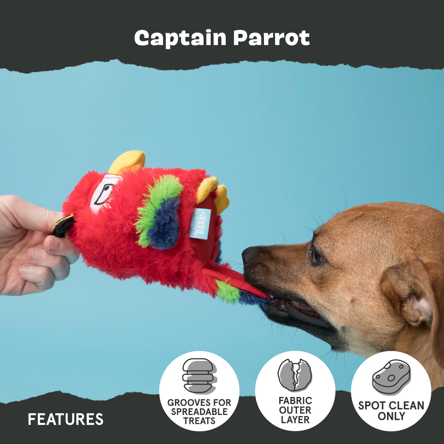 Captain Parrot