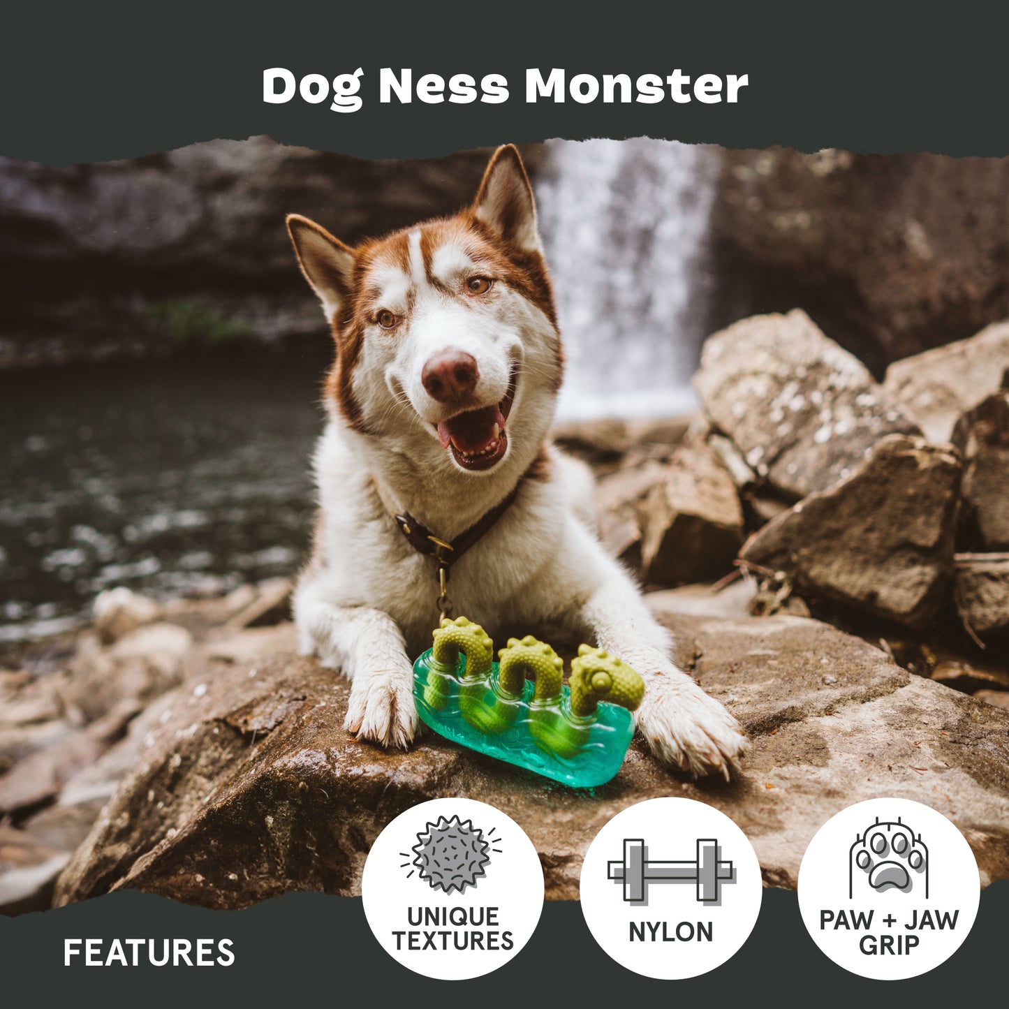 Dogness Monster