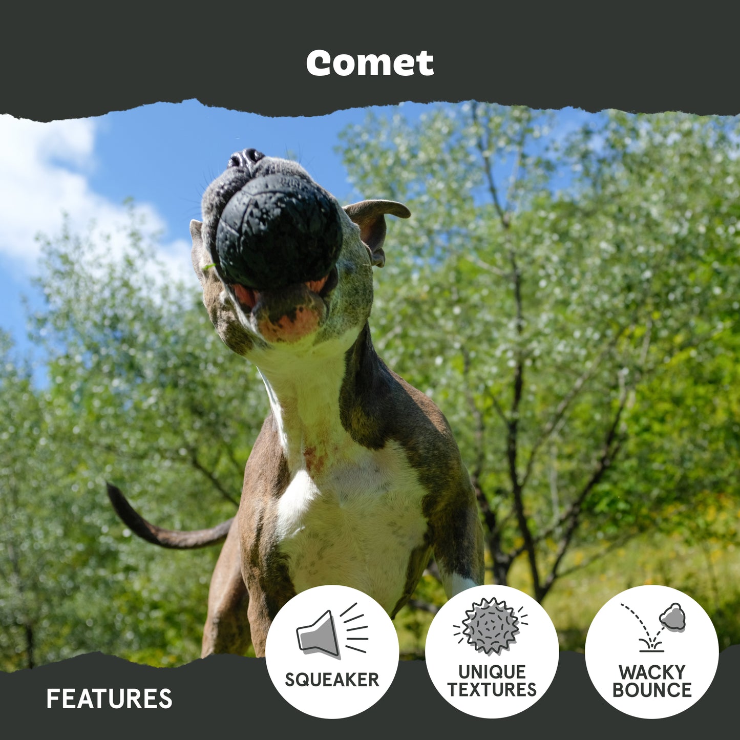 Comet