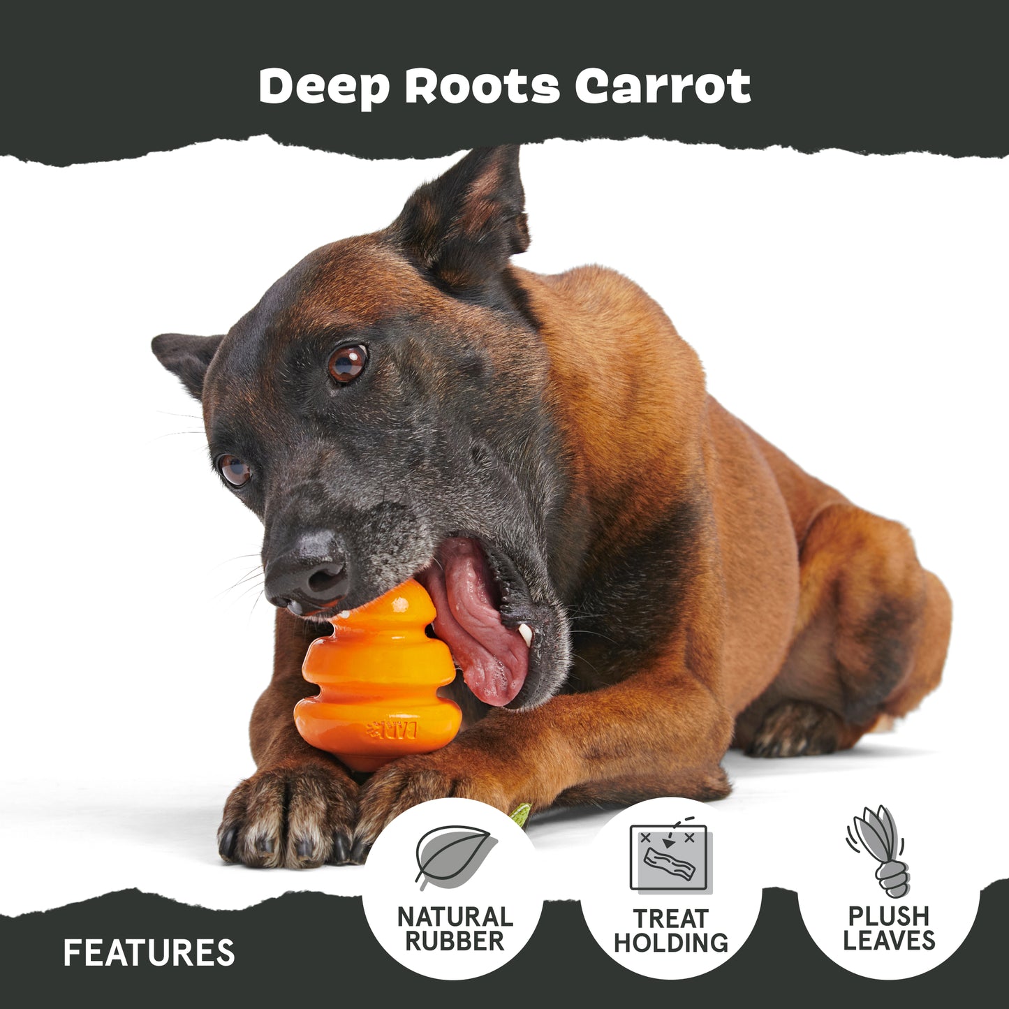 Deep Roots Carrot