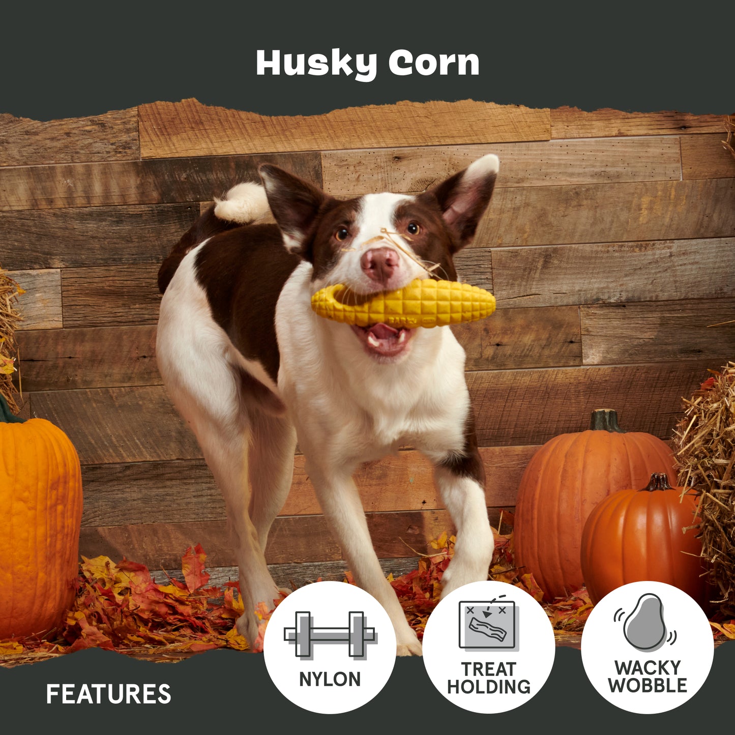 Husky Corn