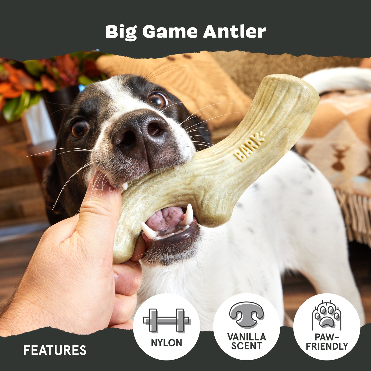 Big Game Antler