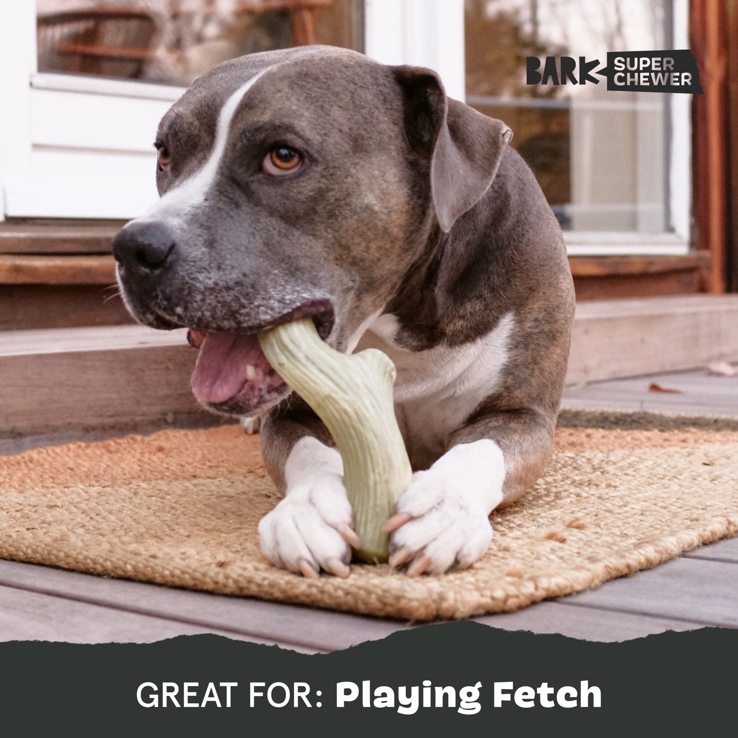 Big Game Antler