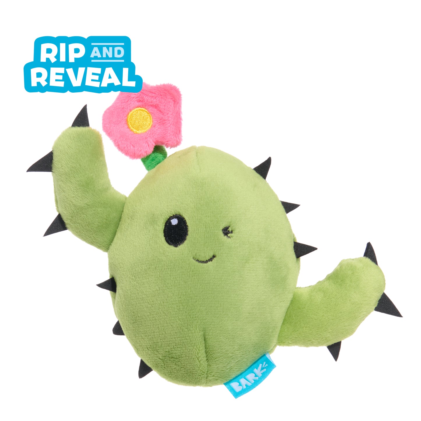 Consuela Cactus - Small