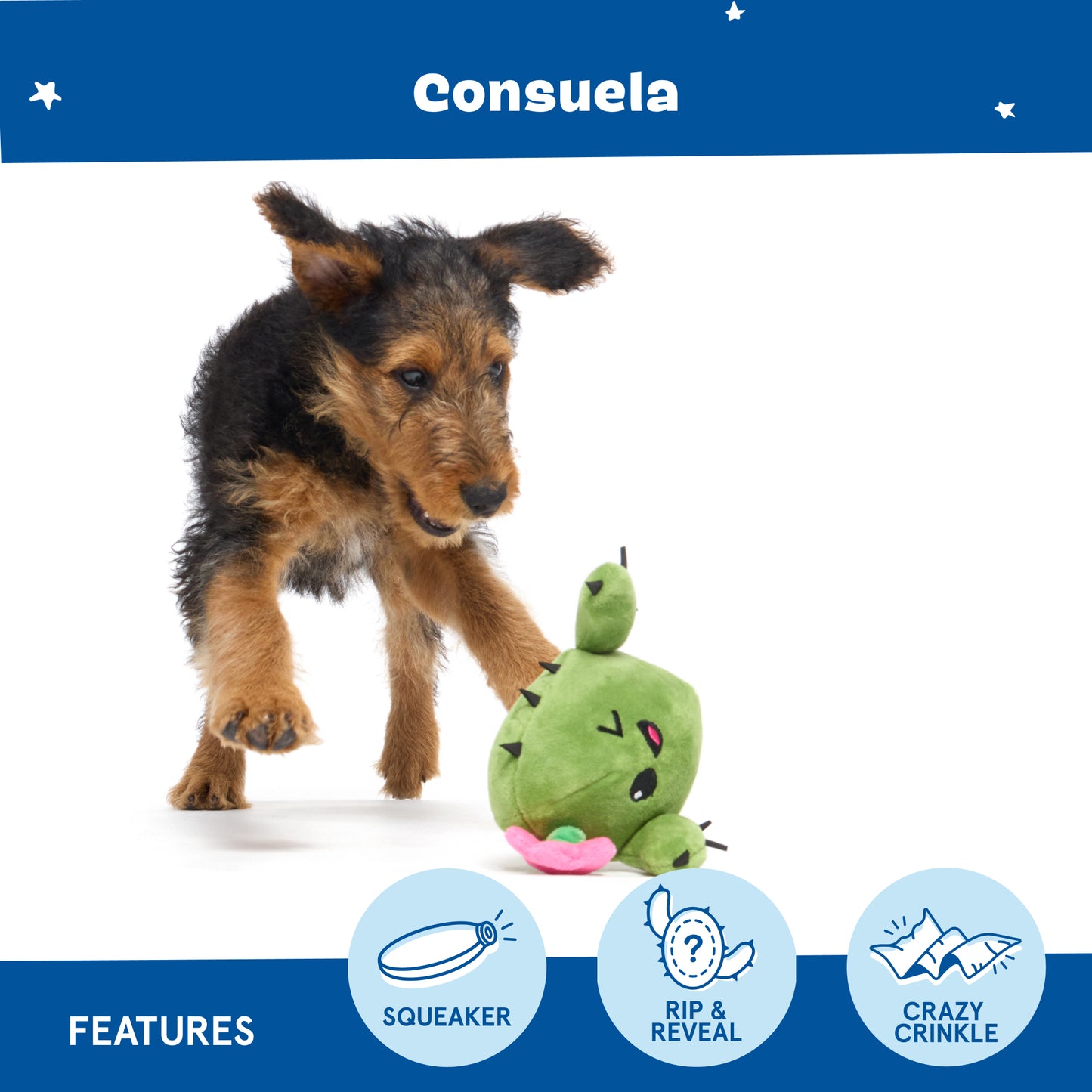 Consuela Cactus - Small