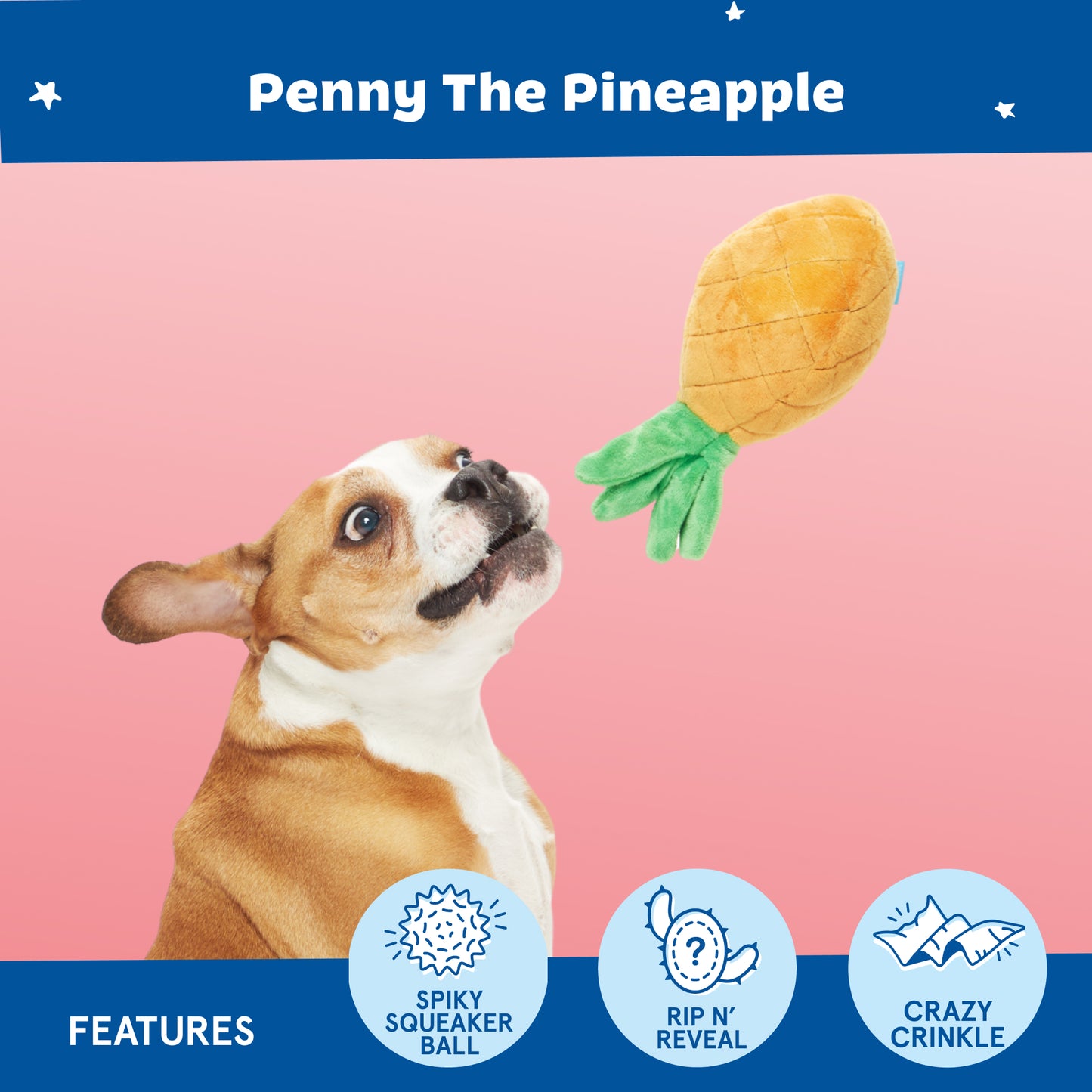Penny The Pineapple