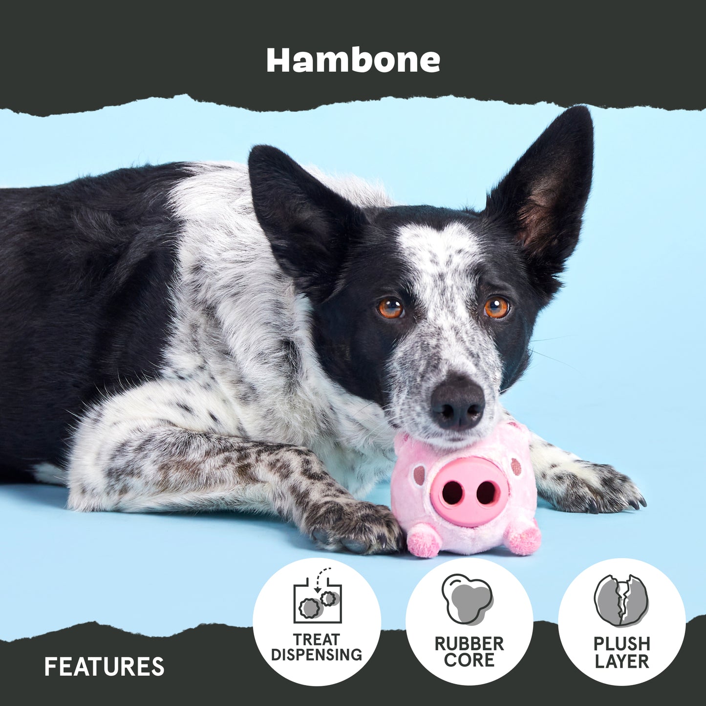 Hambone