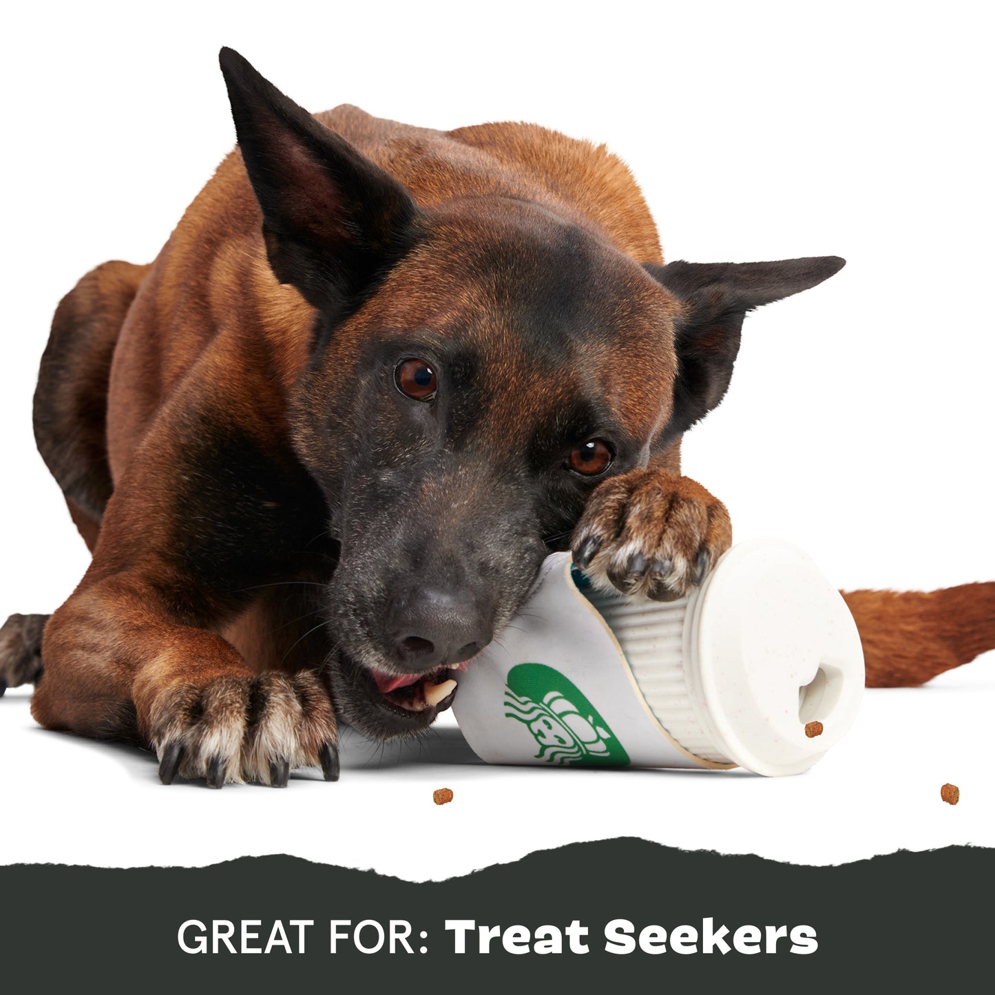 Pupkin Spice Yappucino