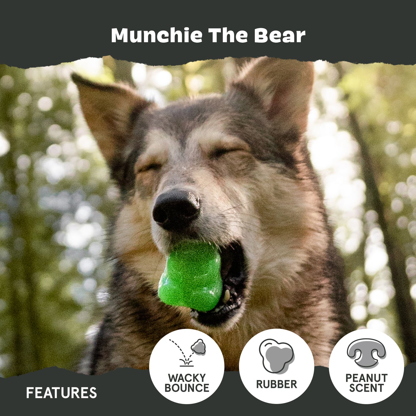 Munchie The Bear