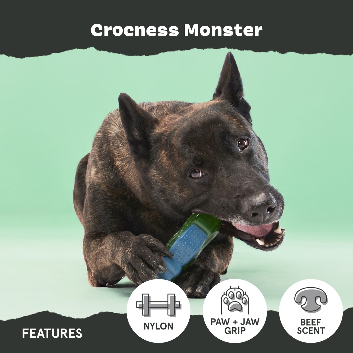 Crocness Monster