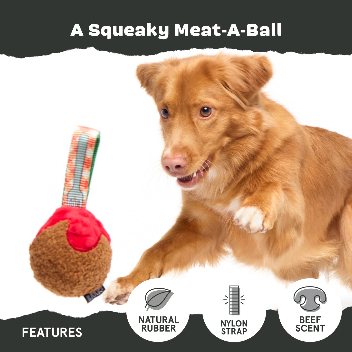 A Squeaky Meat-A-Ball