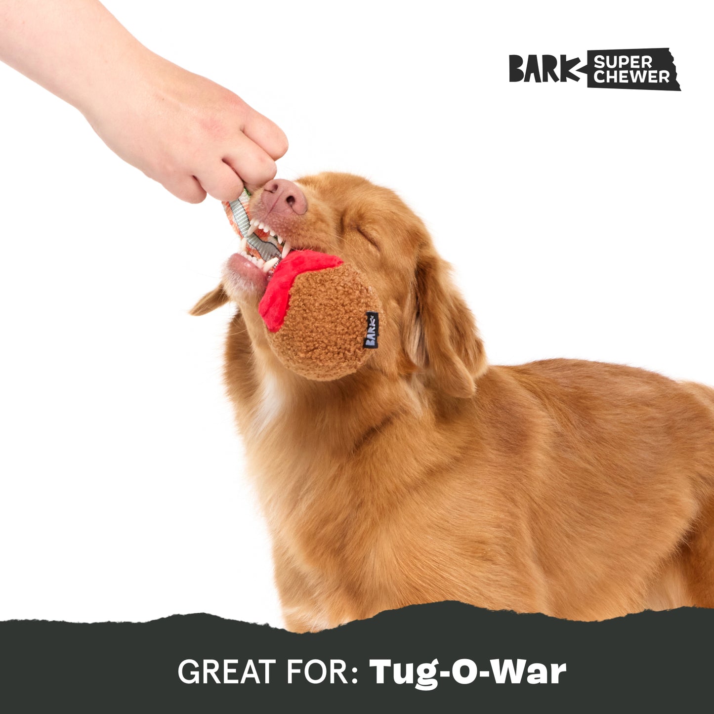 A Squeaky Meat-A-Ball