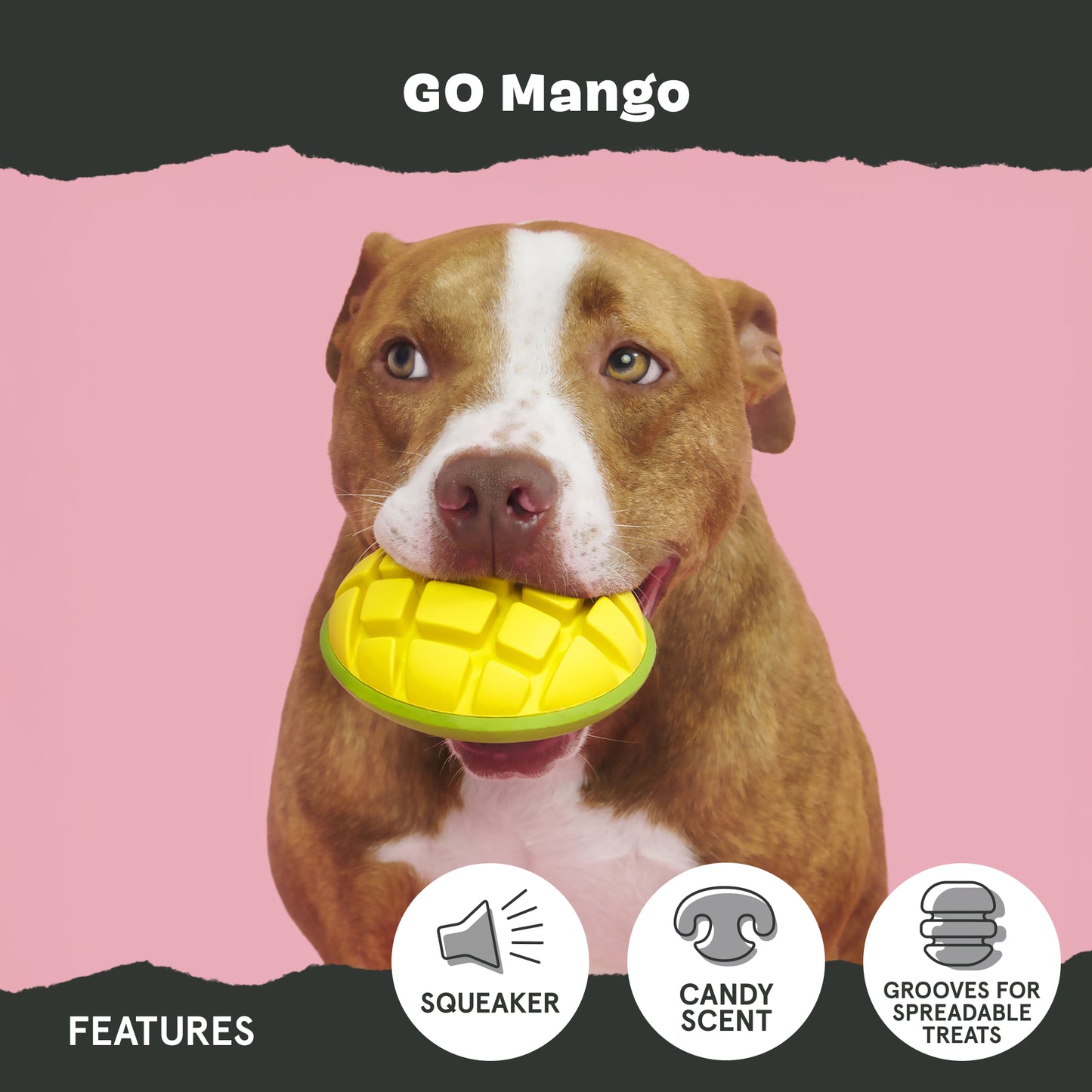 Go Mango
