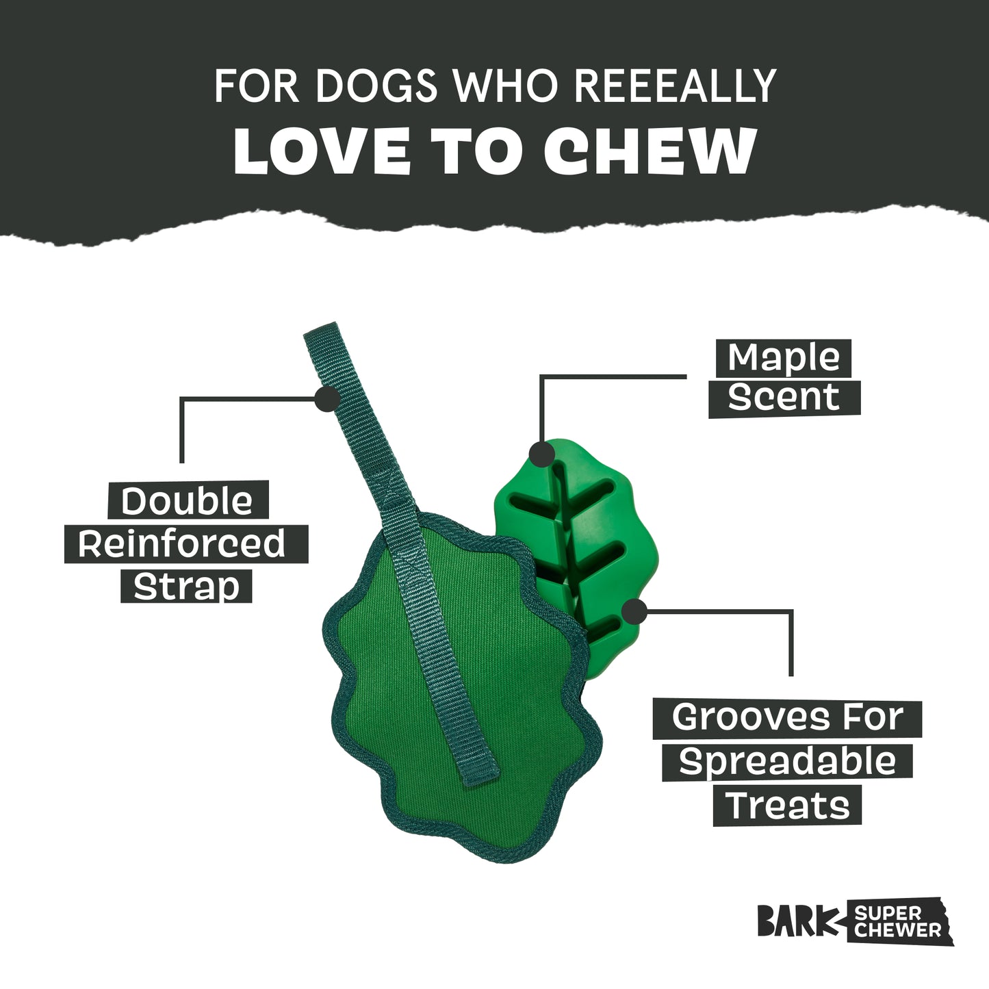 A Green Chew Leaf