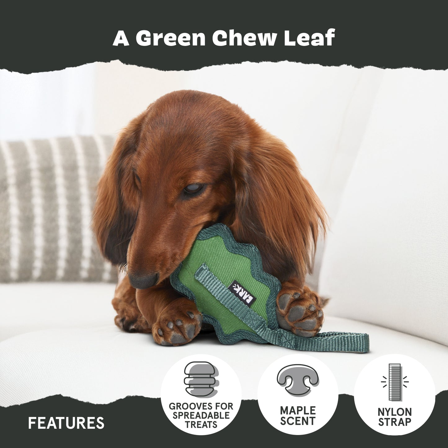 A Green Chew Leaf