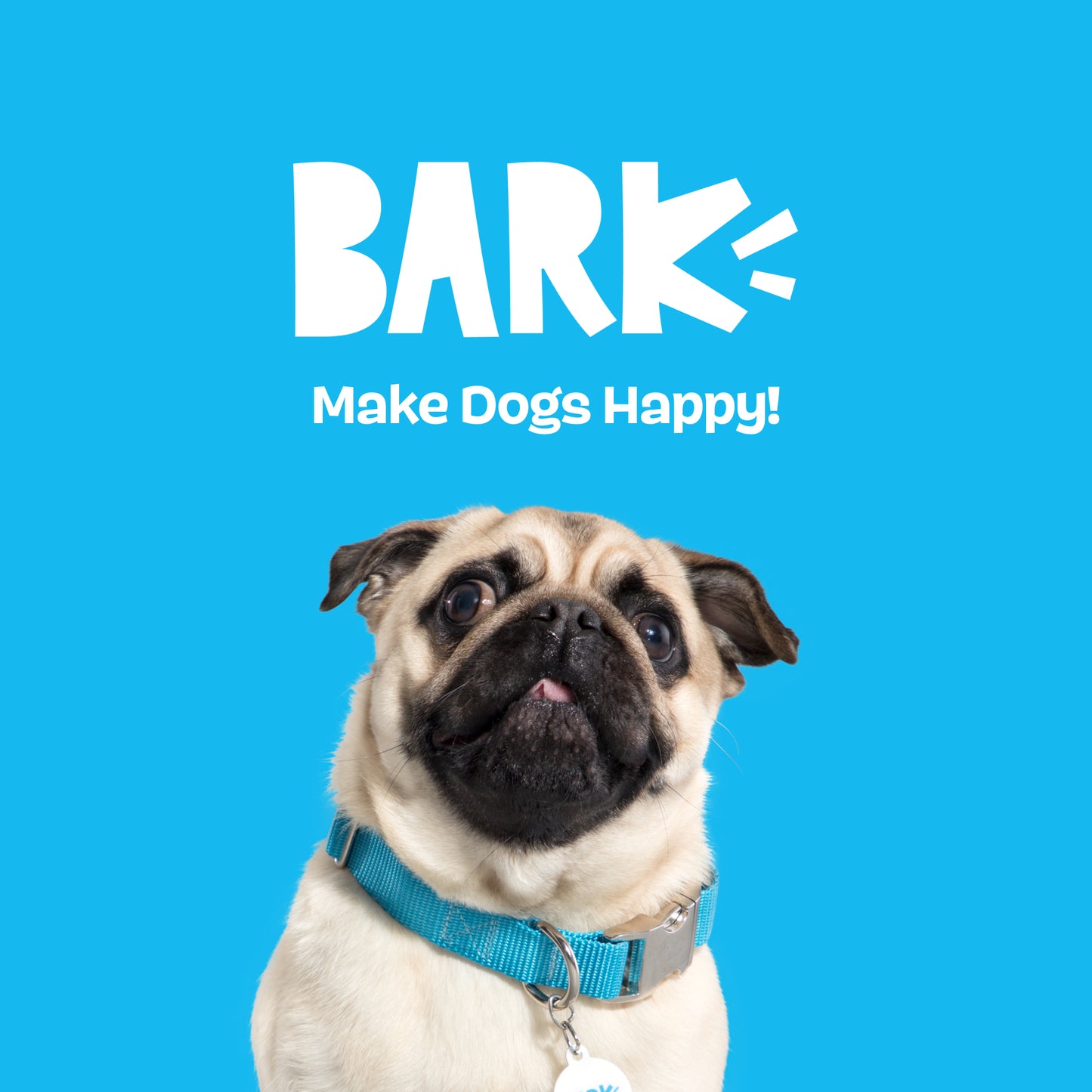 Cup Of BARK Roast