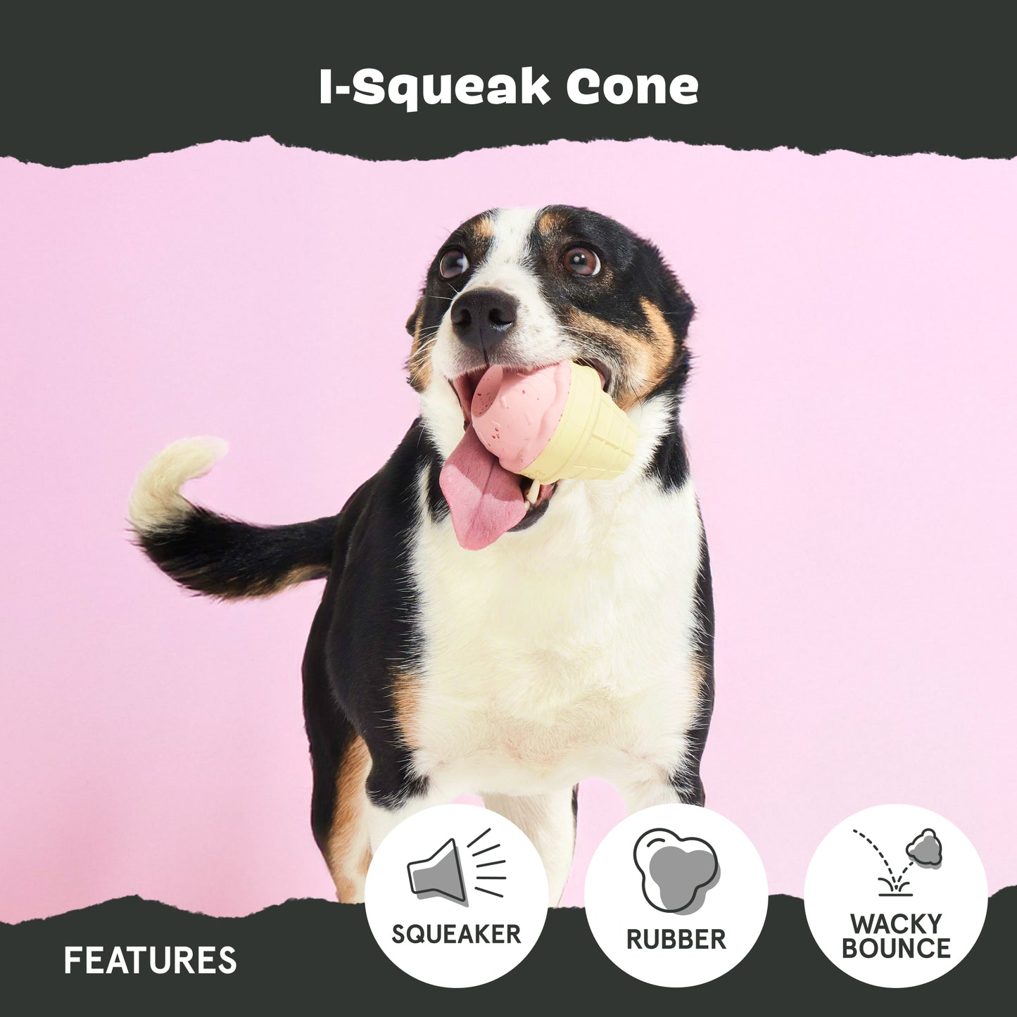 I-Squeak-Cone
