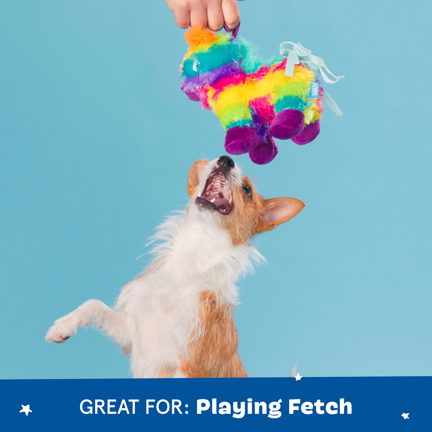 Full O' Fluff Piñata