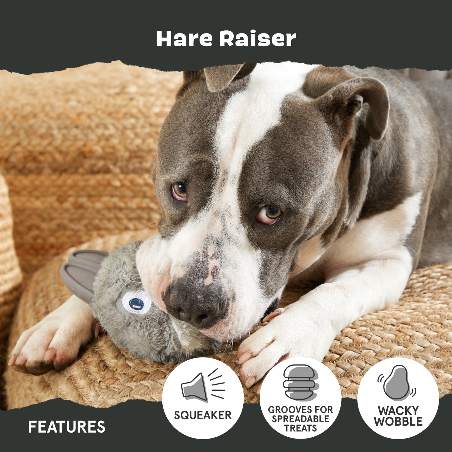 Hare Raiser