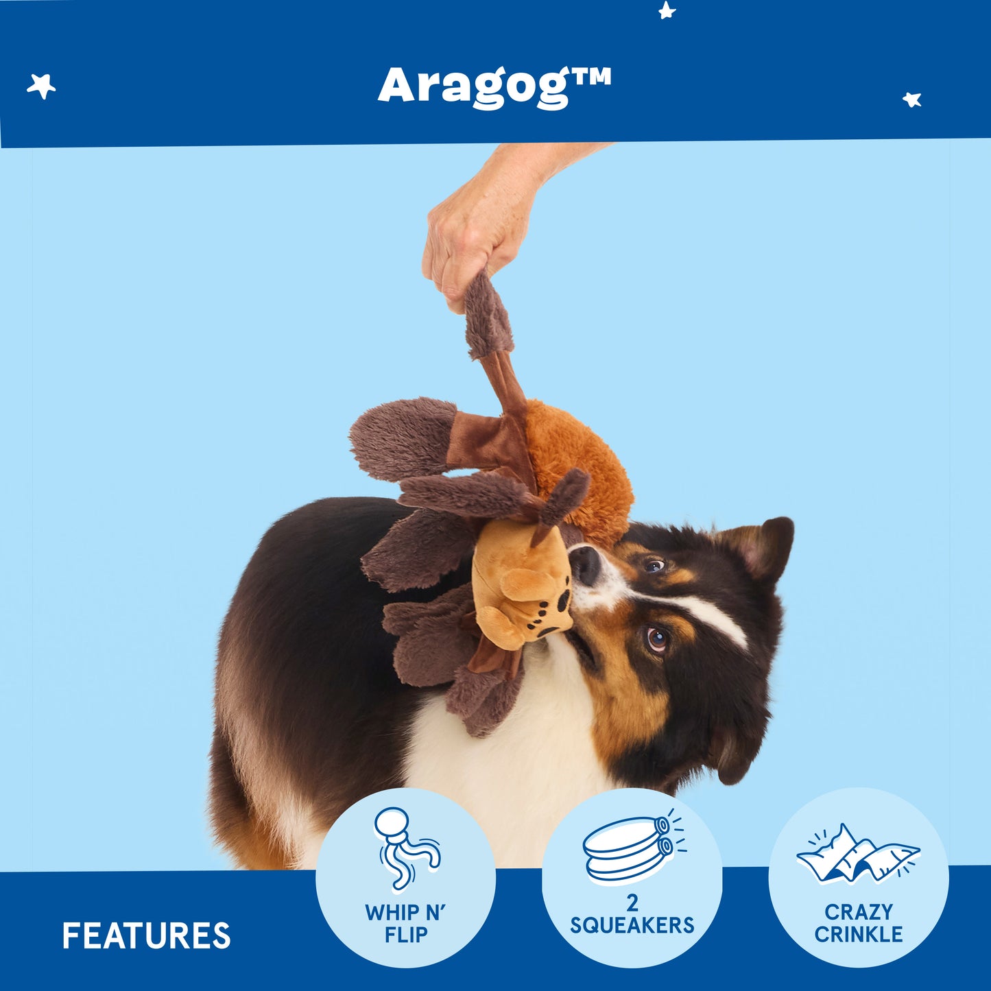 Harry Potter™ Aragog™