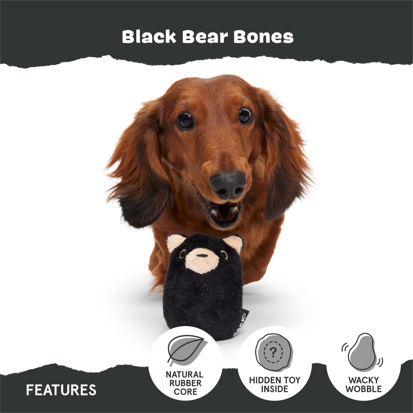 Black Bear Bones