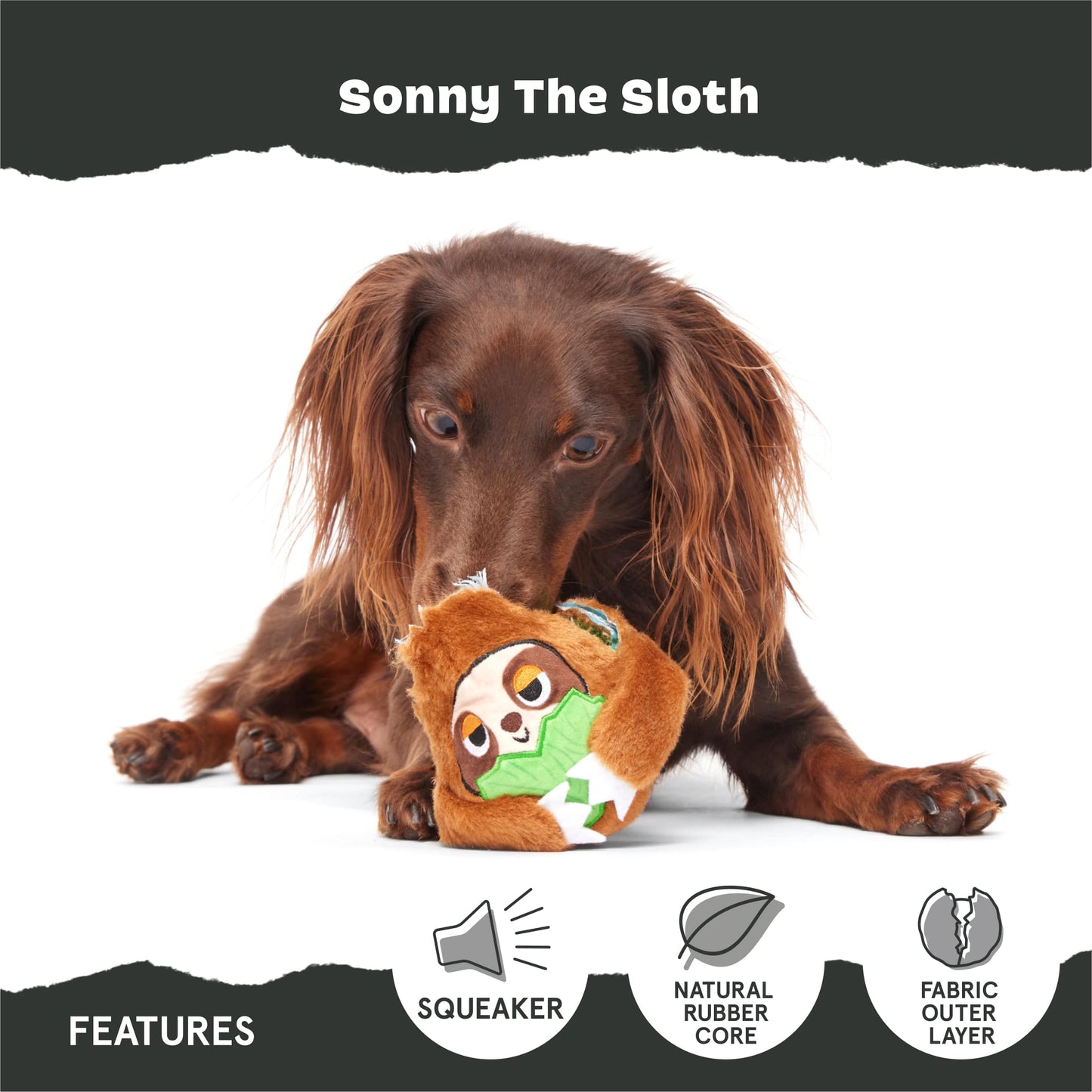 Sonny The Sloth