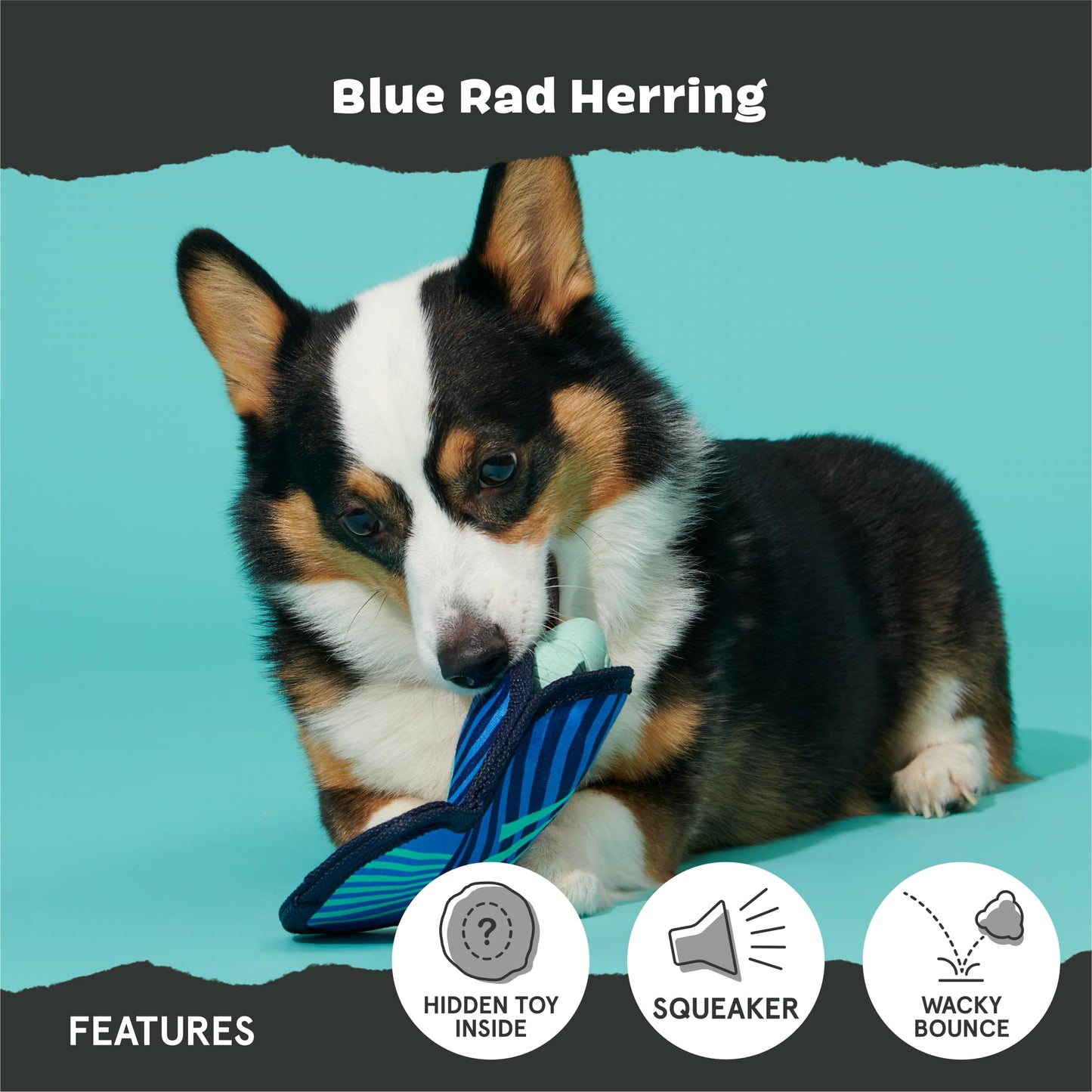 Blue Rad Herring