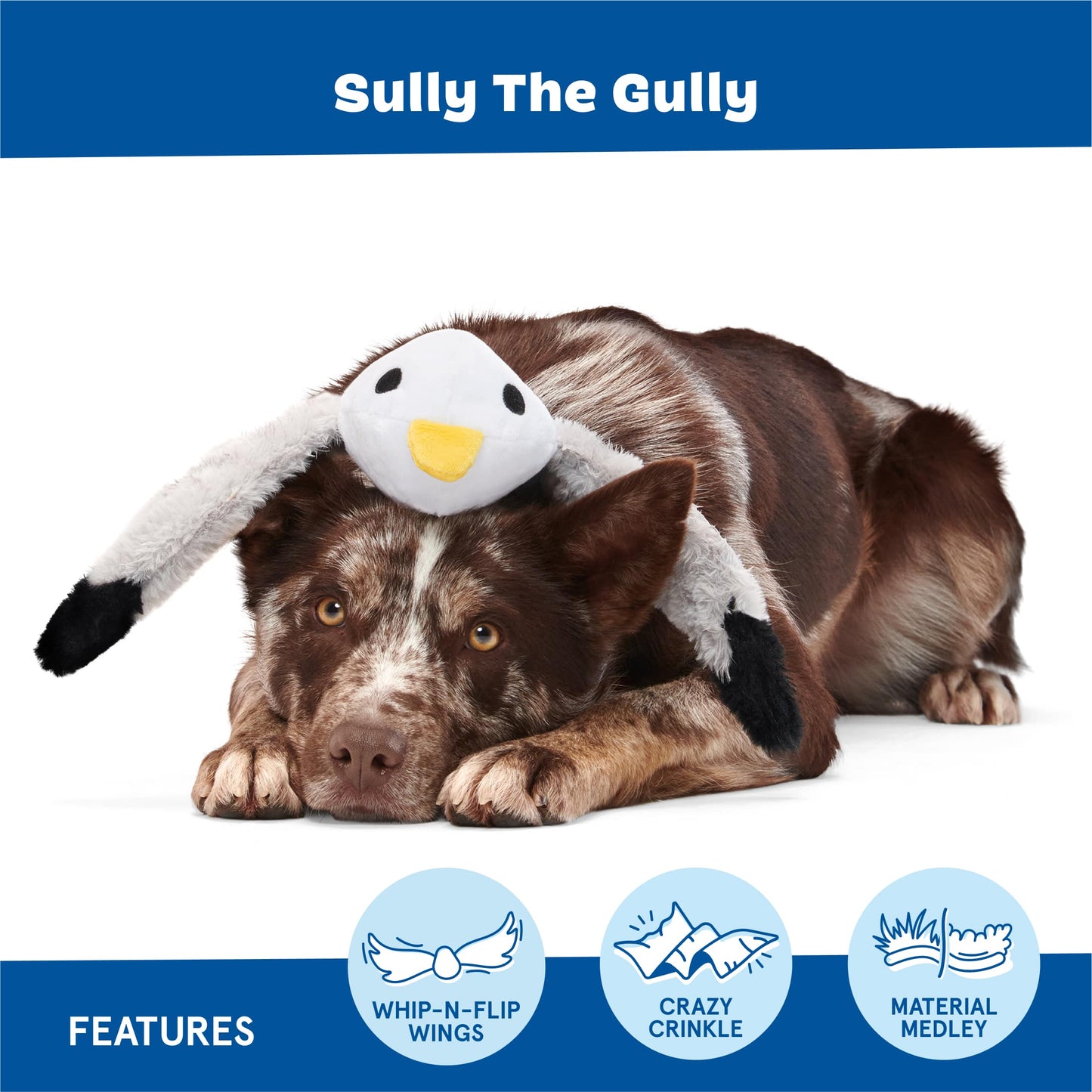 Sully The Gully
