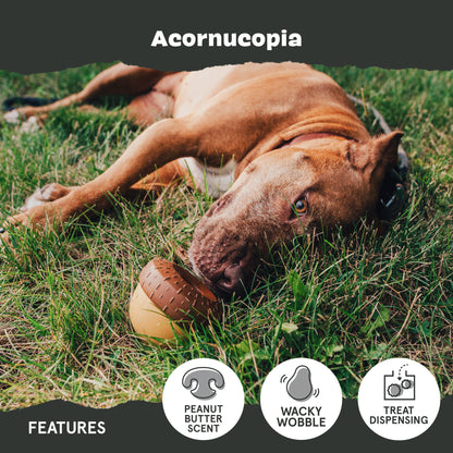 Acornucopia - Large
