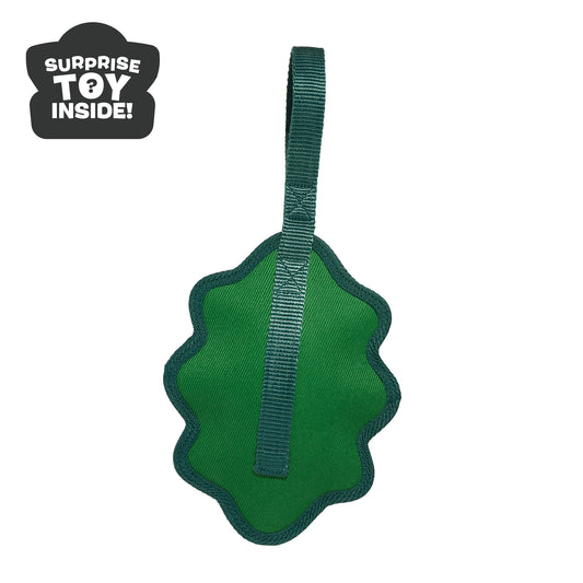 A Green Chew Leaf