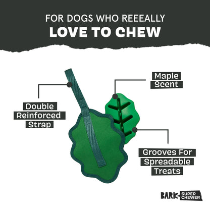A Green Chew Leaf