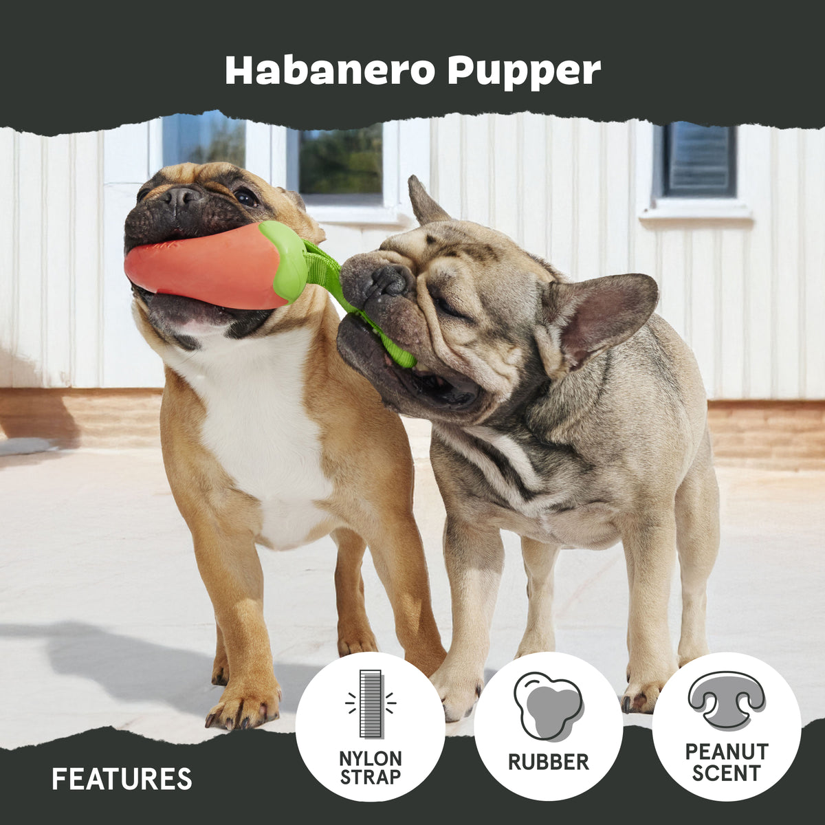 Habanero Pupper
