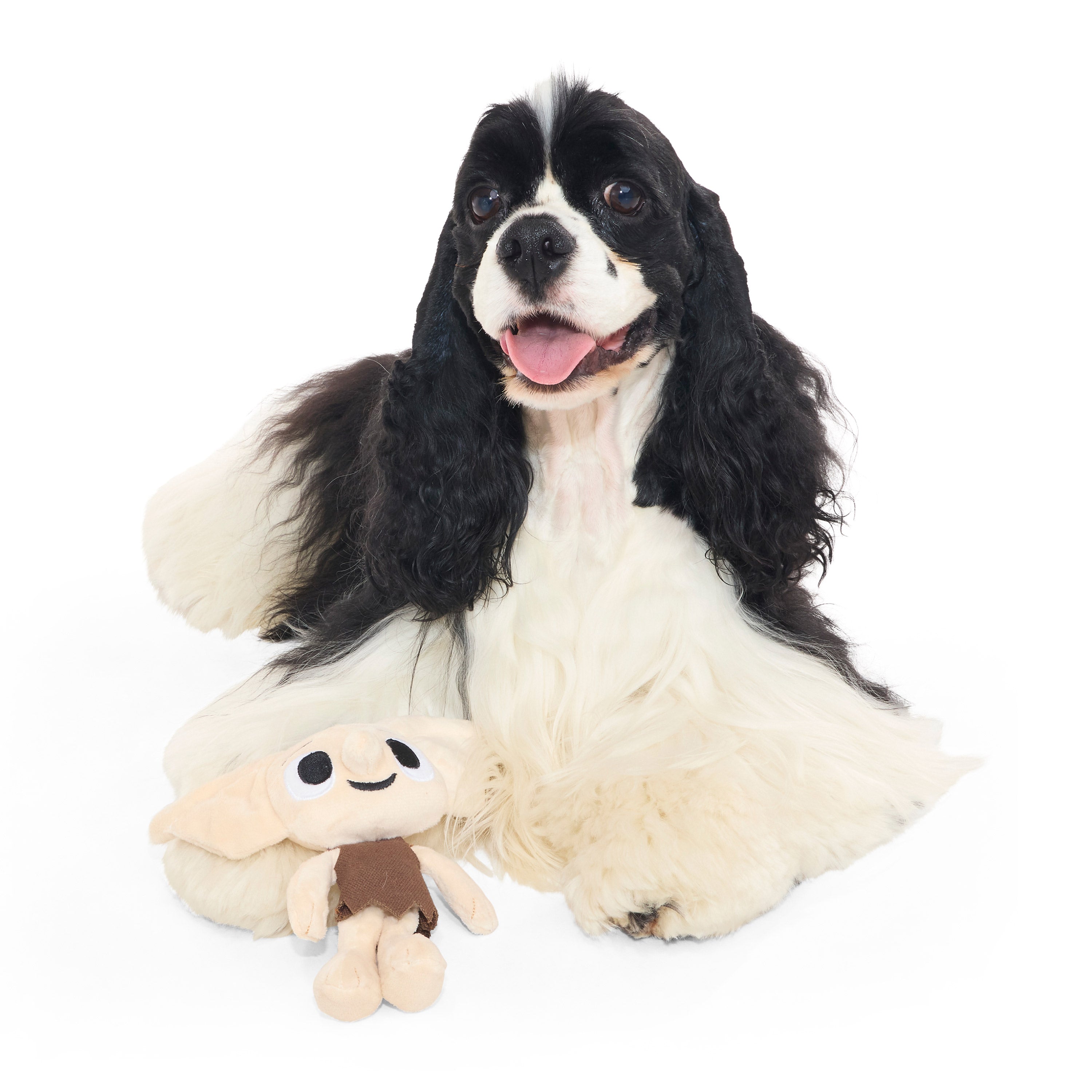 BARK x Harry Potter™ Dobby - Small – BARK UK