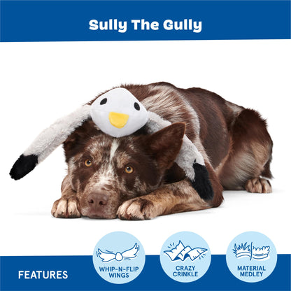 Sully The Gully