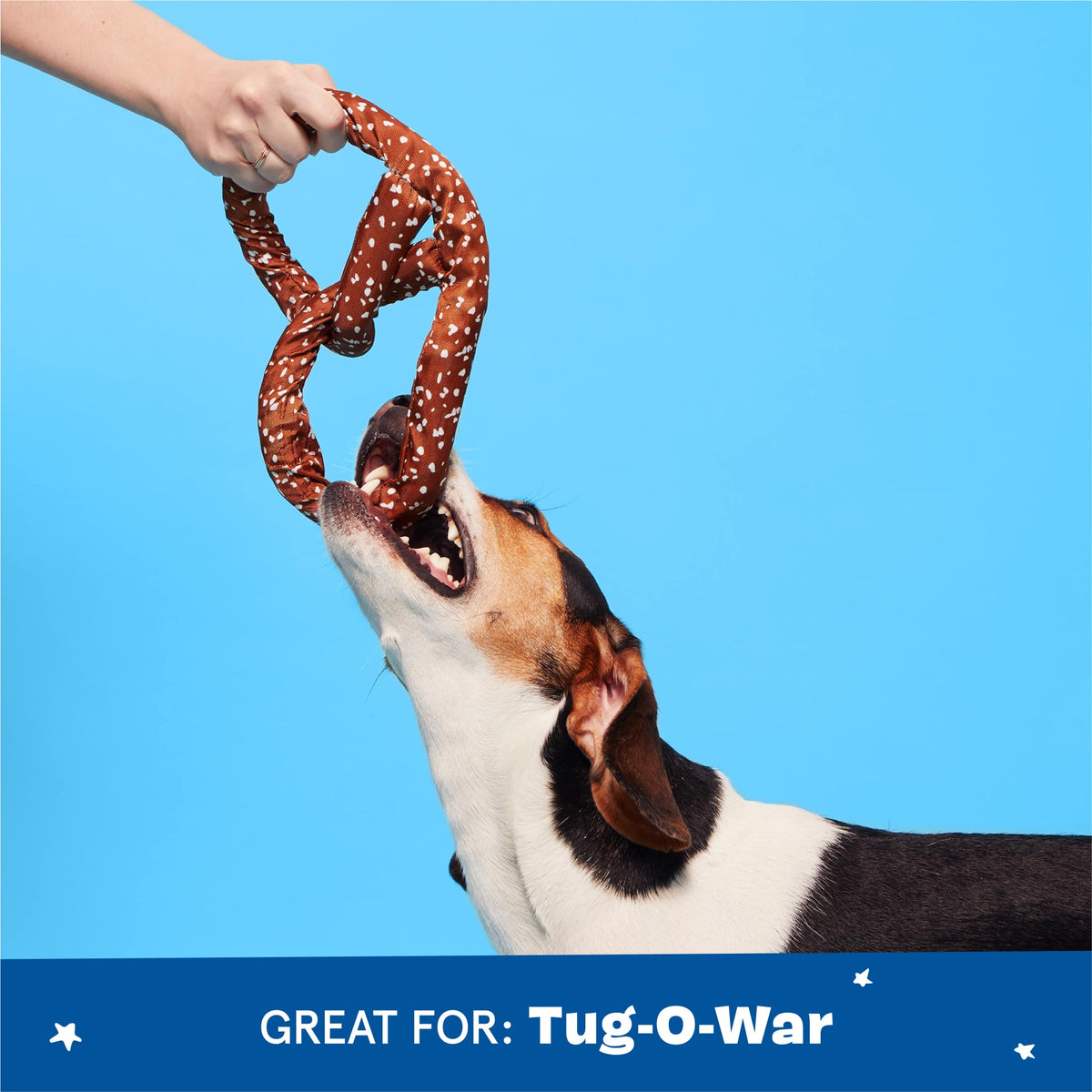 Paula's Park Slope Pretzel