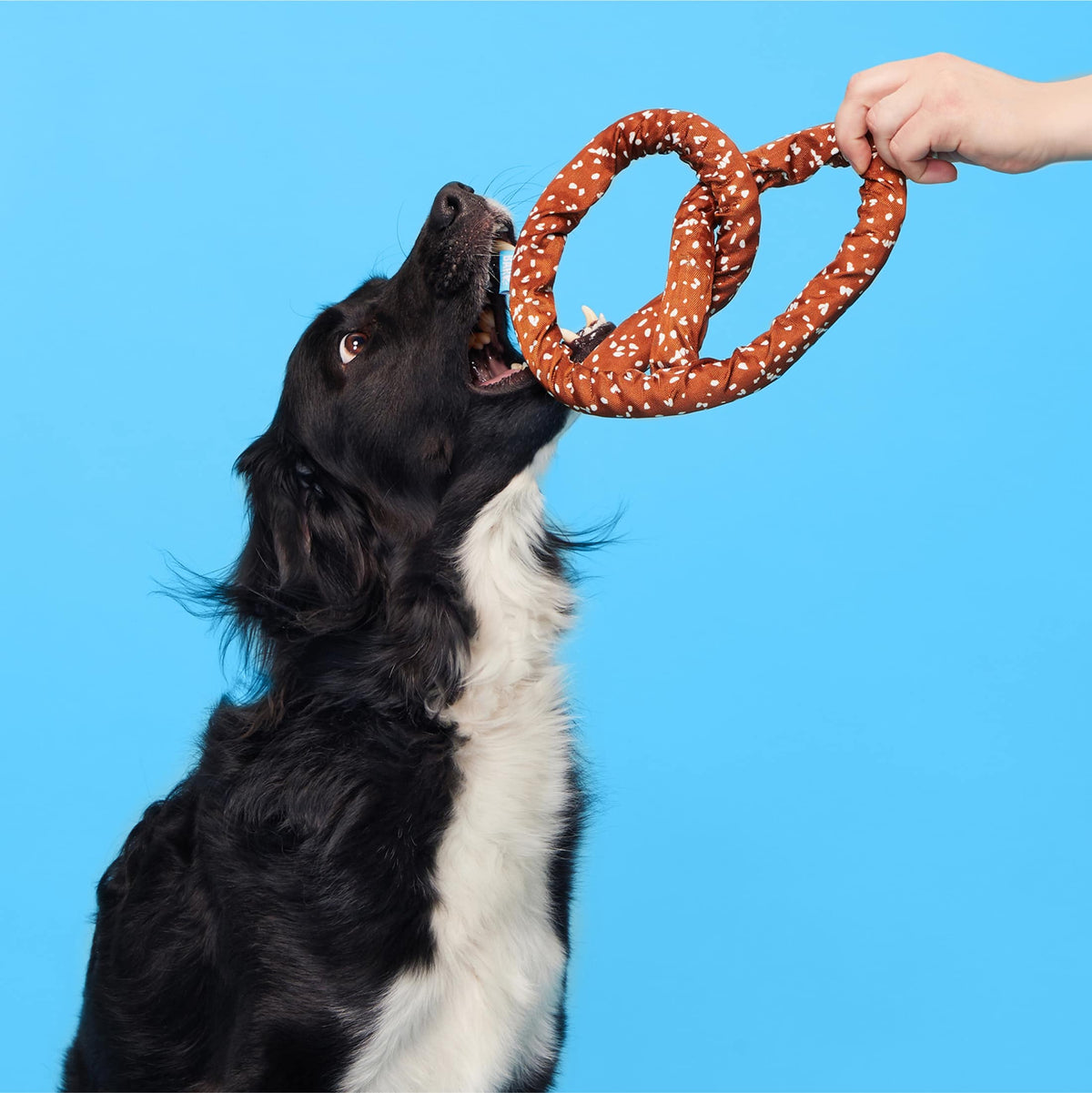 Paula's Park Slope Pretzel
